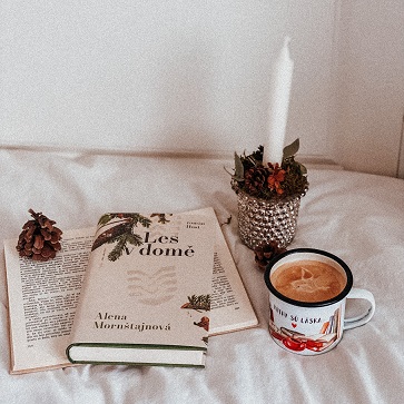 Les v domě- Alena Mornštajnová